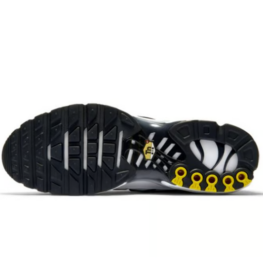 Air Max Plus “Killer Whale” Veličina 46