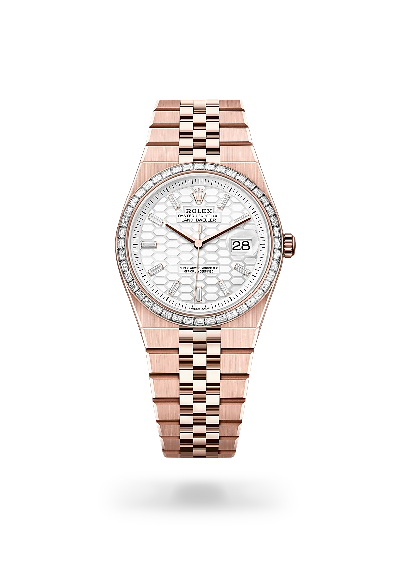 Rolex Land-Dweller 36 Intense White 1