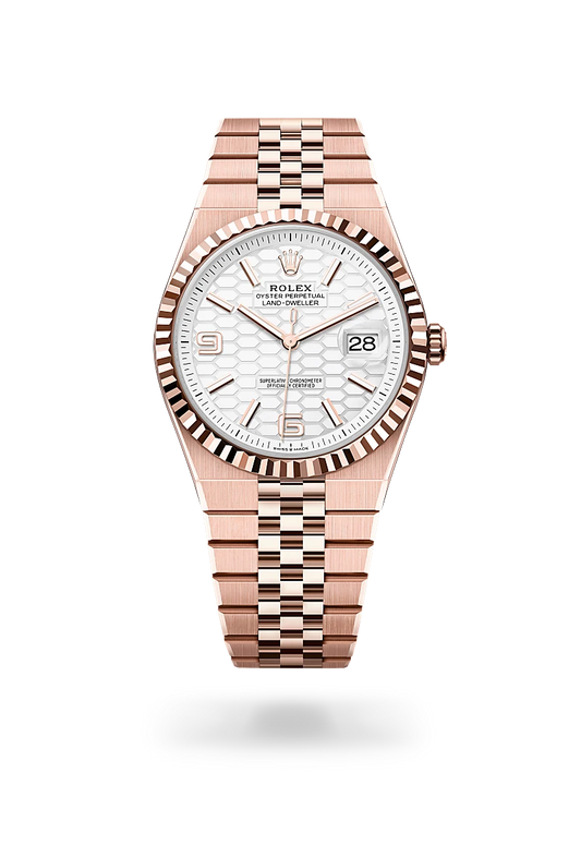 Rolex Land-Dweller 40 Intense White
