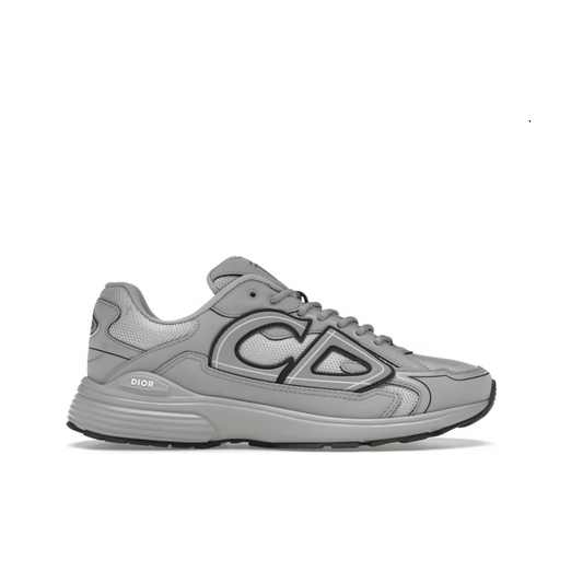 Dior B30 Gray