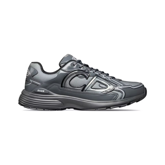 Dior B30 Light Gray Gray