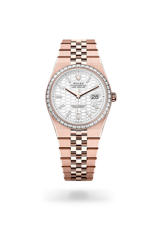 Rolex Land-Dweller 36 Intense White 1